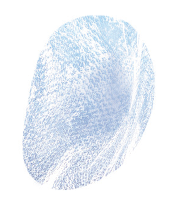 Membrane Lite Restore - Ocular